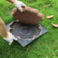 Matrita pavaj beton forma floare | Turnare dale decorative pentru curte si alei | Reutilizabila si usor de folosit in gradina DIY